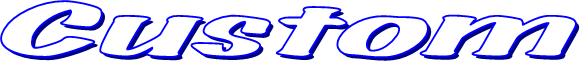 Custom